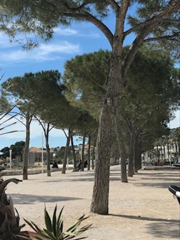 La Ciotat : Superbe Appartement Proche Du Port Luaran gambar